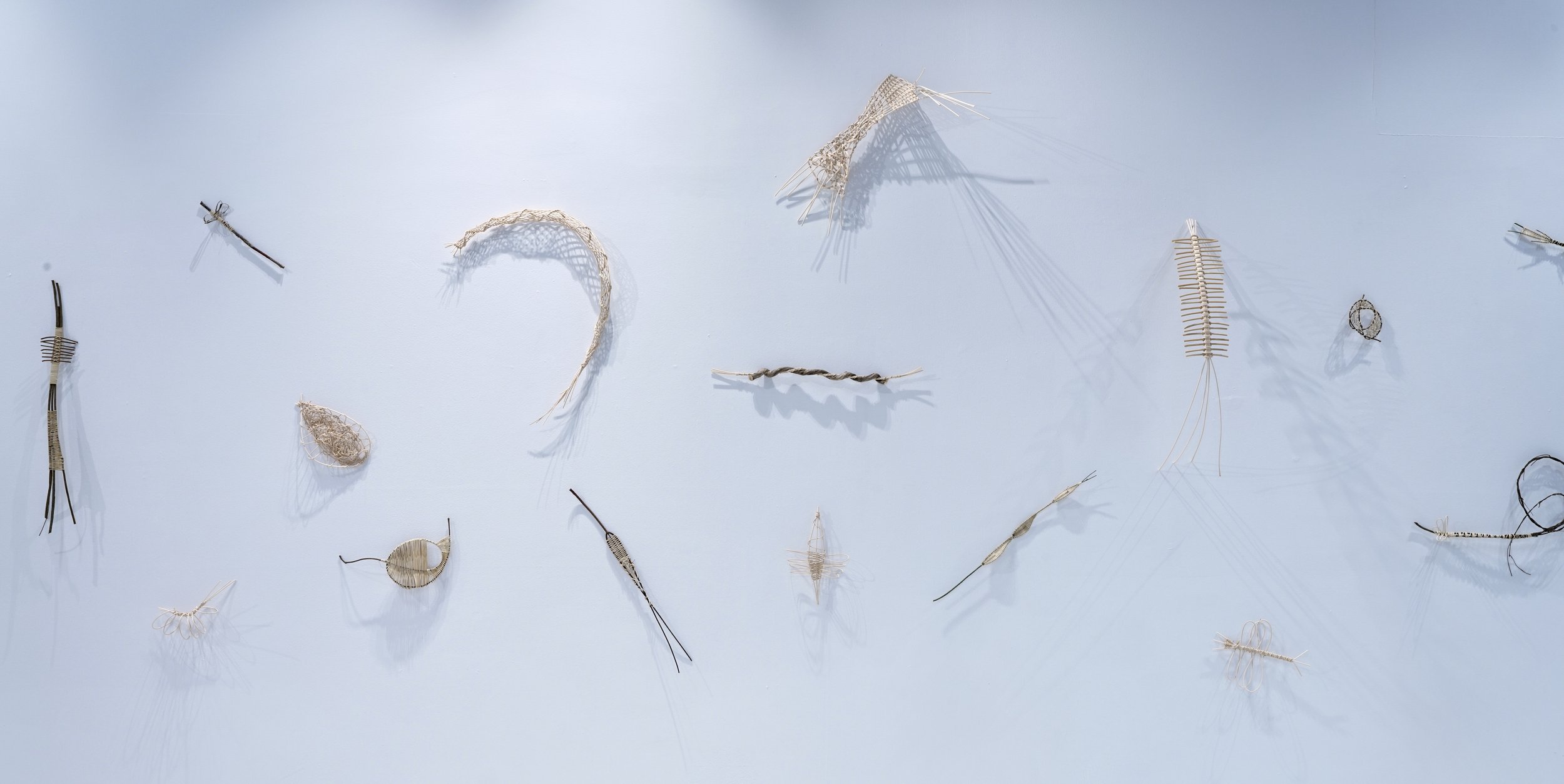   EGBs (Experimental Genetic Blueprints)   Basket reed, various foraged plant matter, specimen pins  