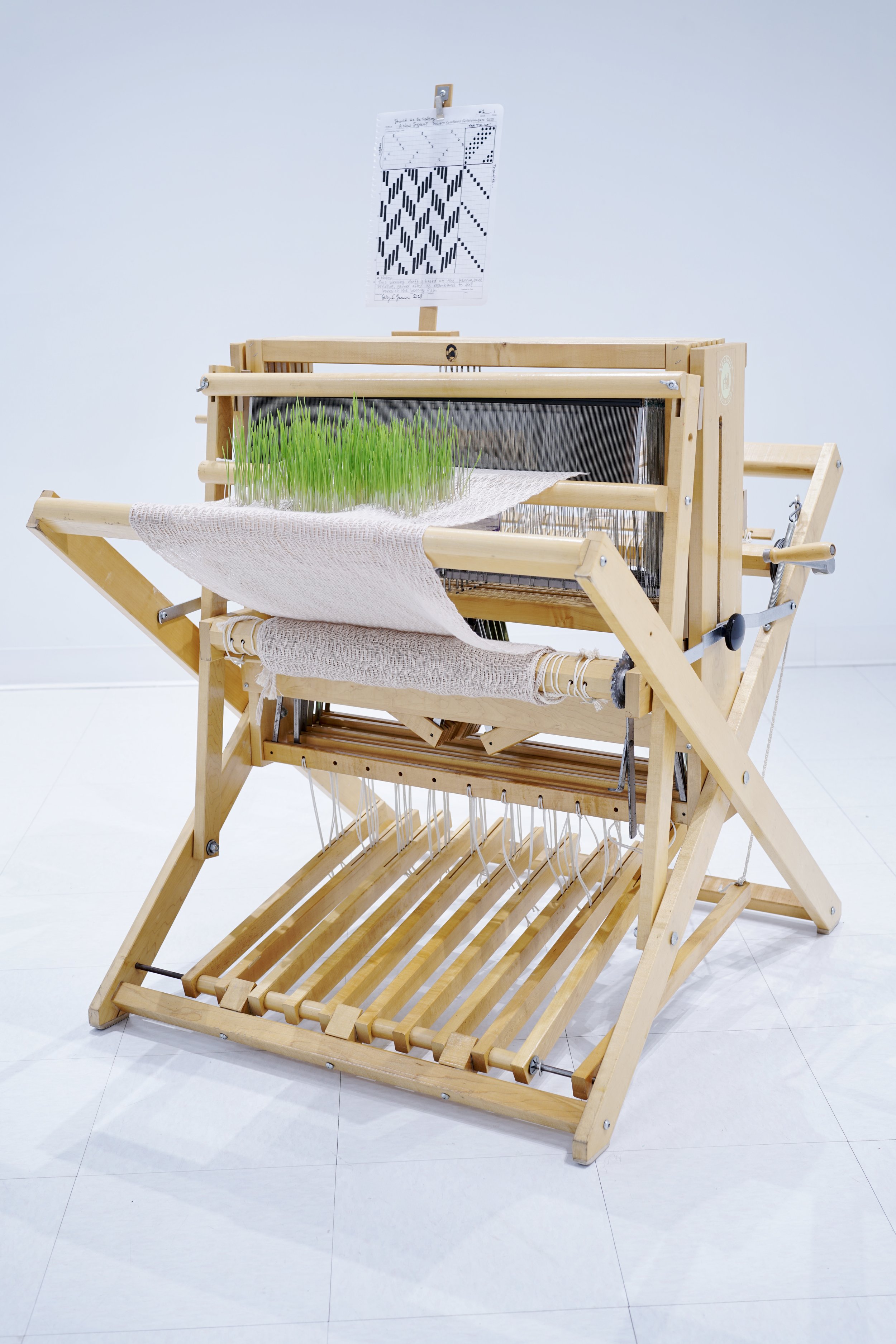   Should We Be Drafting a New System?   Weaving loom, cotton thread, triticale microgreens, acrylic bin, window screen, plastic tubing, plexiglass, water, ink on paper   Photographed on April 7, 2023 