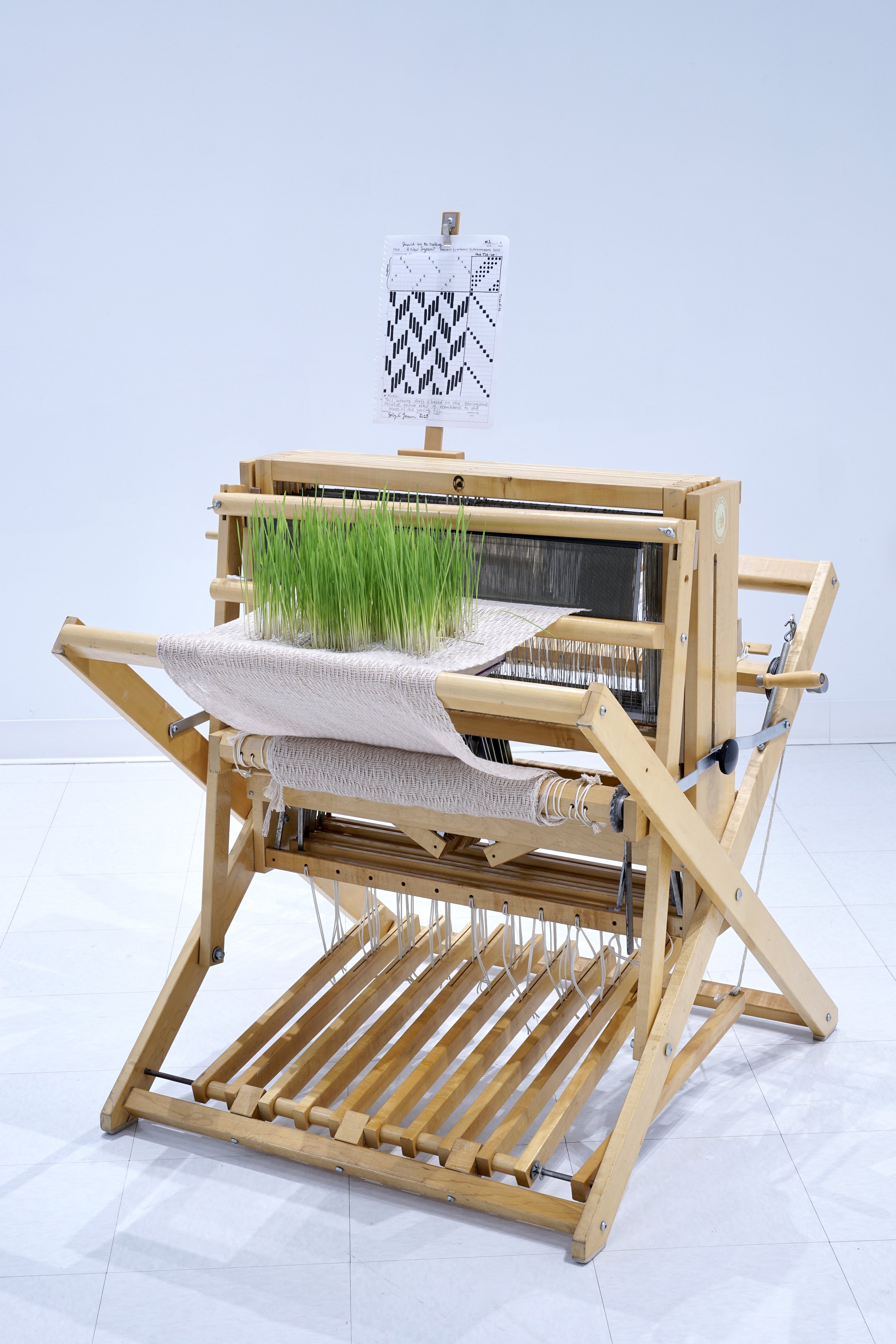   Should We Be Drafting a New System?   Weaving loom, cotton thread, triticale microgreens, acrylic bin, window screen, plastic tubing, plexiglass, water, ink on paper   Photographed on April 11, 2023 