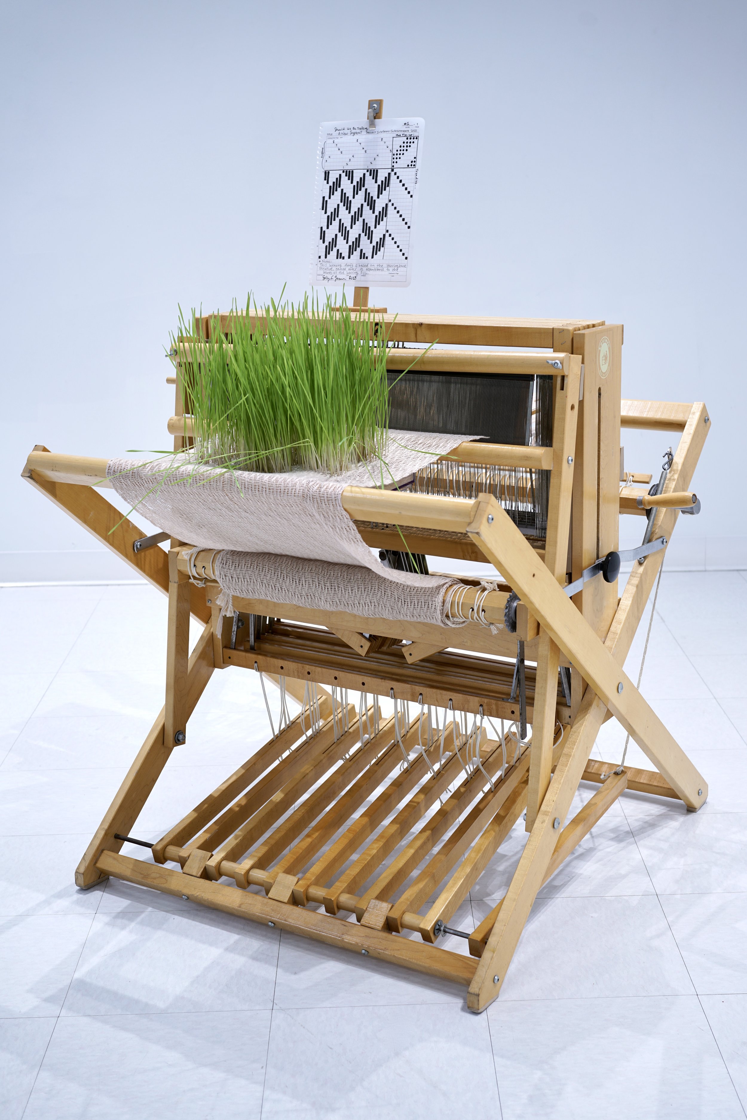   Should We Be Drafting a New System?   Weaving loom, cotton thread, triticale microgreens, acrylic bin, window screen, plastic tubing, plexiglass, water, ink on paper   Photographed on April 15, 2023 