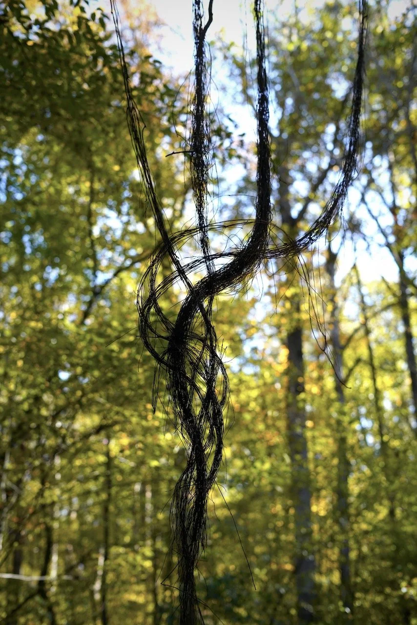 Wandering Ends, Summer.jpeg