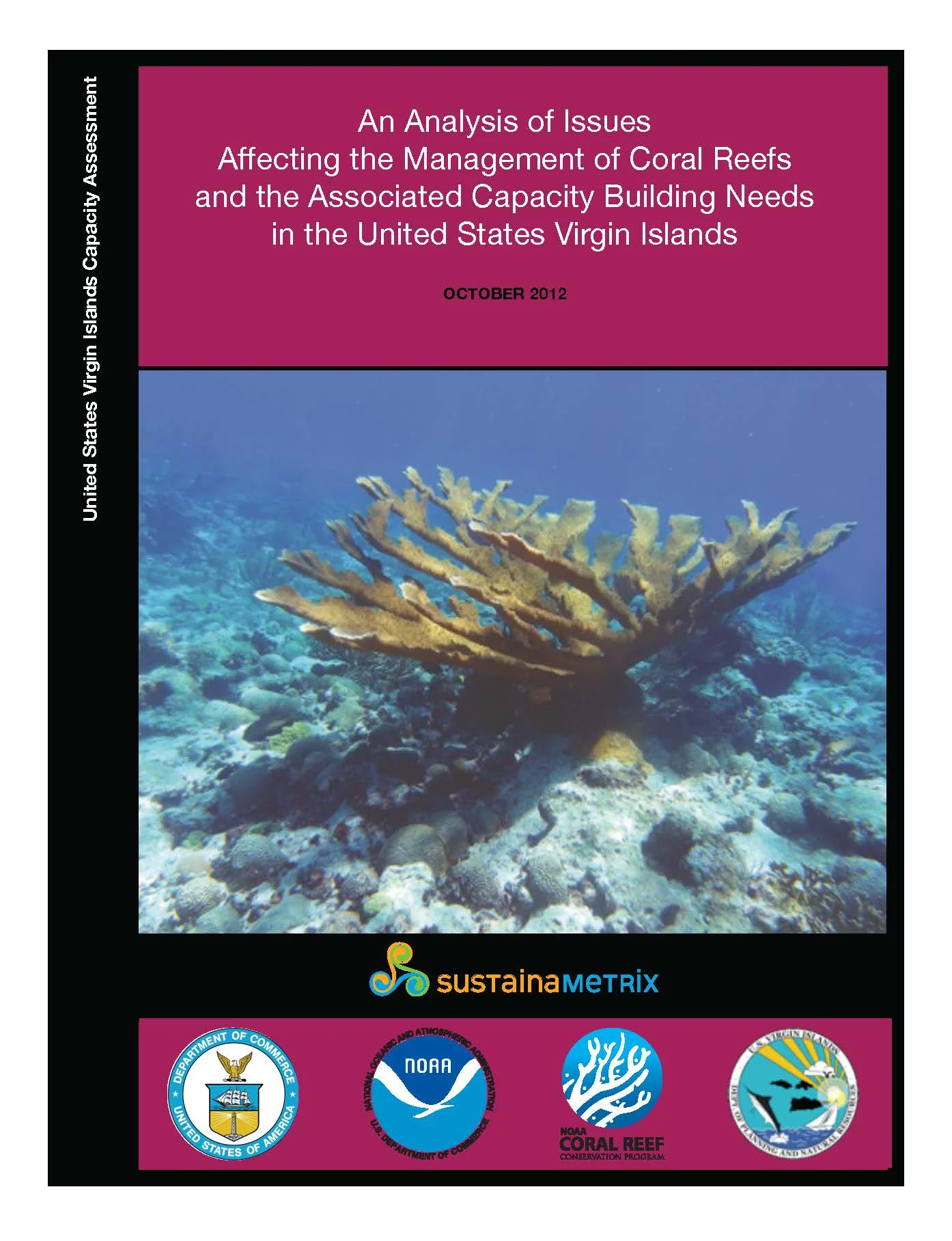 Pages from FINAL USVI Capacity Assessment.jpg