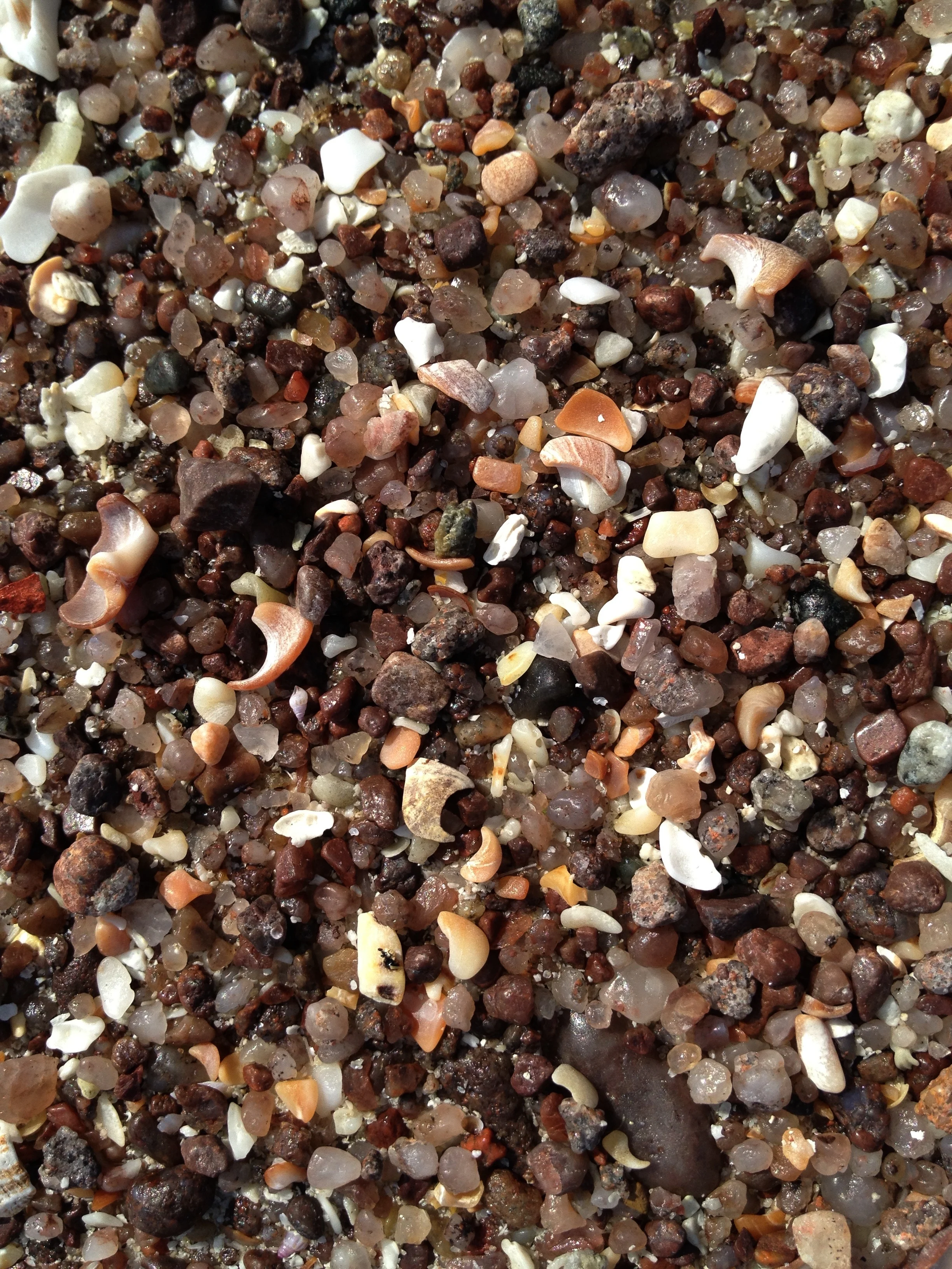 beach pebbles.jpg