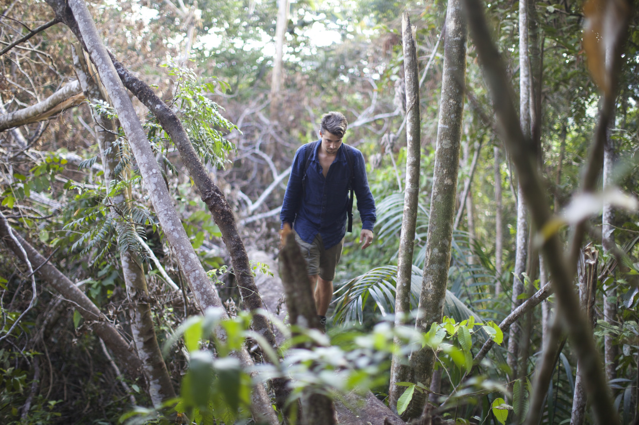 The jungle