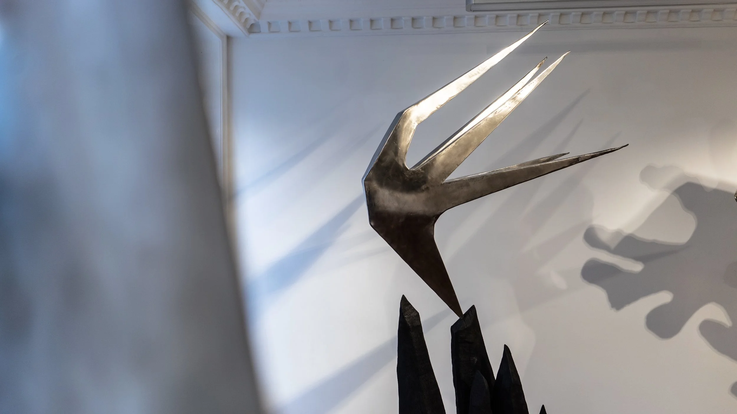 SOL BAILEY_Photos-0976.JPG