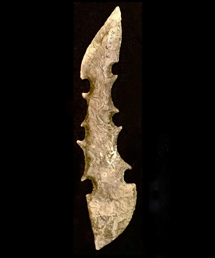 solbaileybarker-flint.jpg