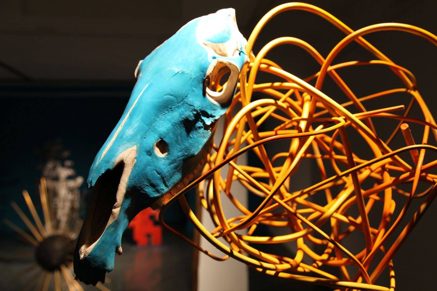 solbaileybarker-horseskull.jpg