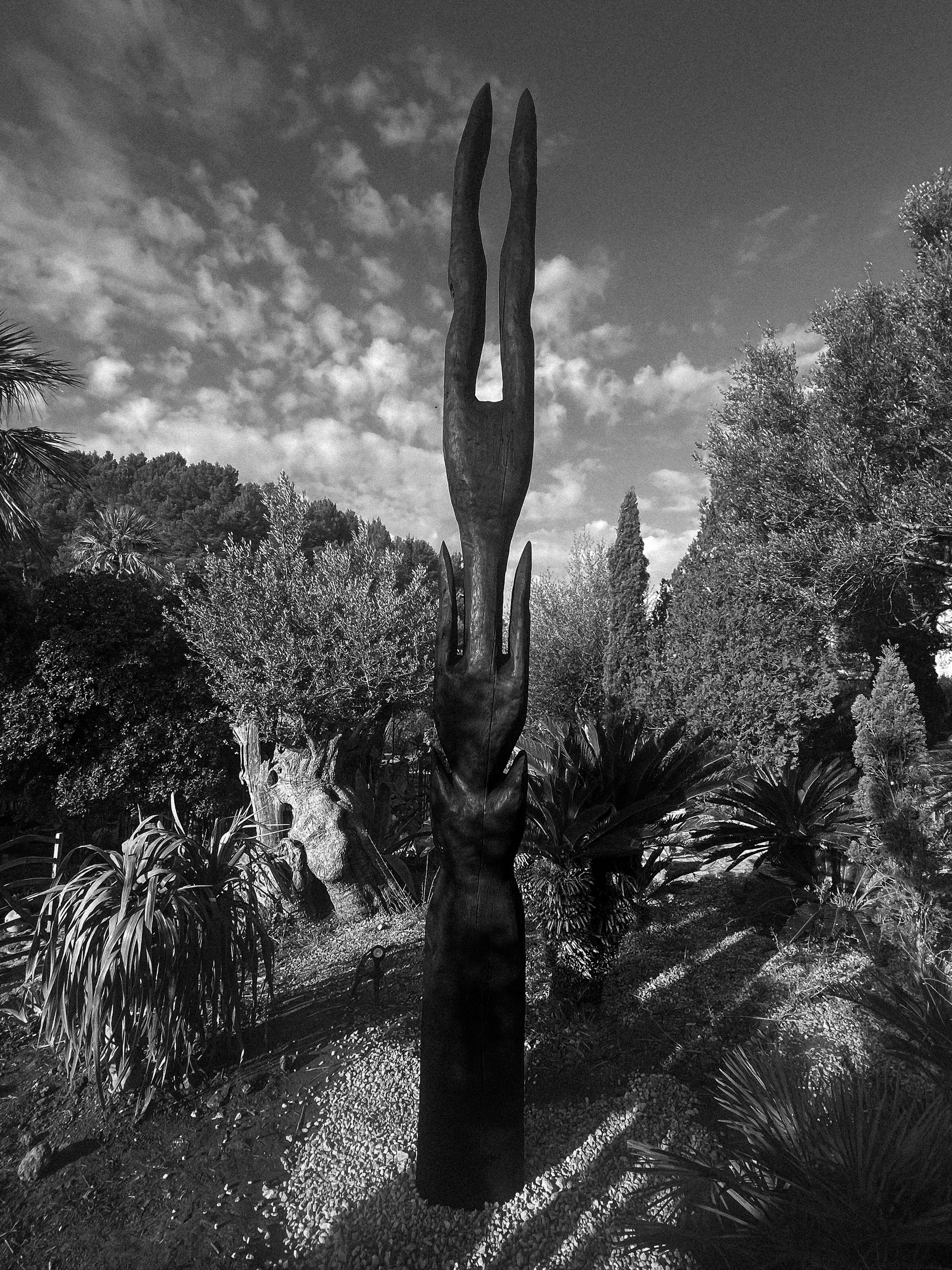 maenad’s column_3718.jpeg