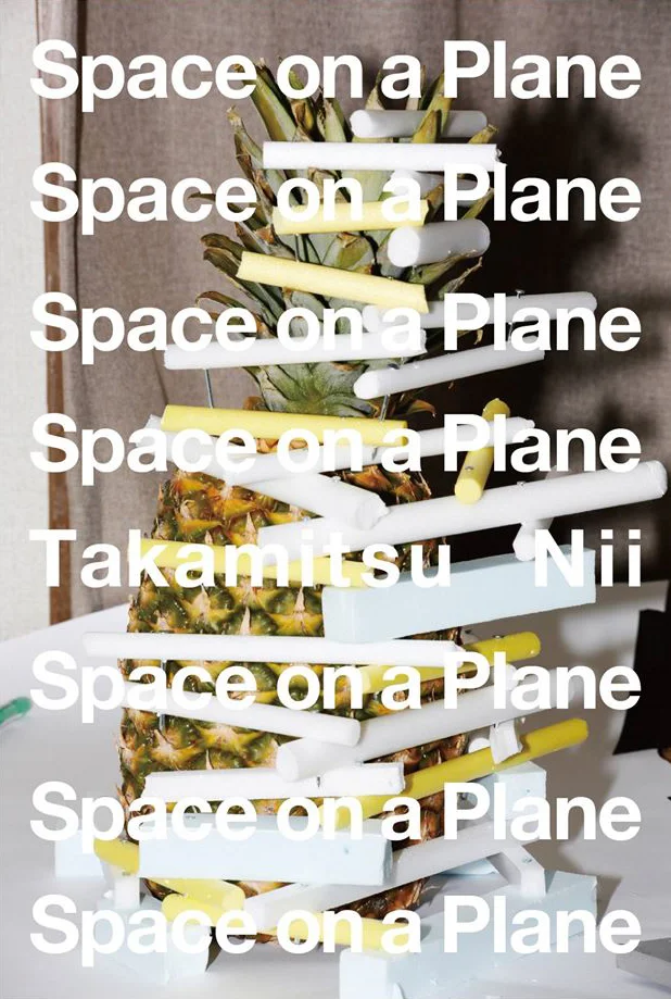 Space on a Plane_3_2.jpg