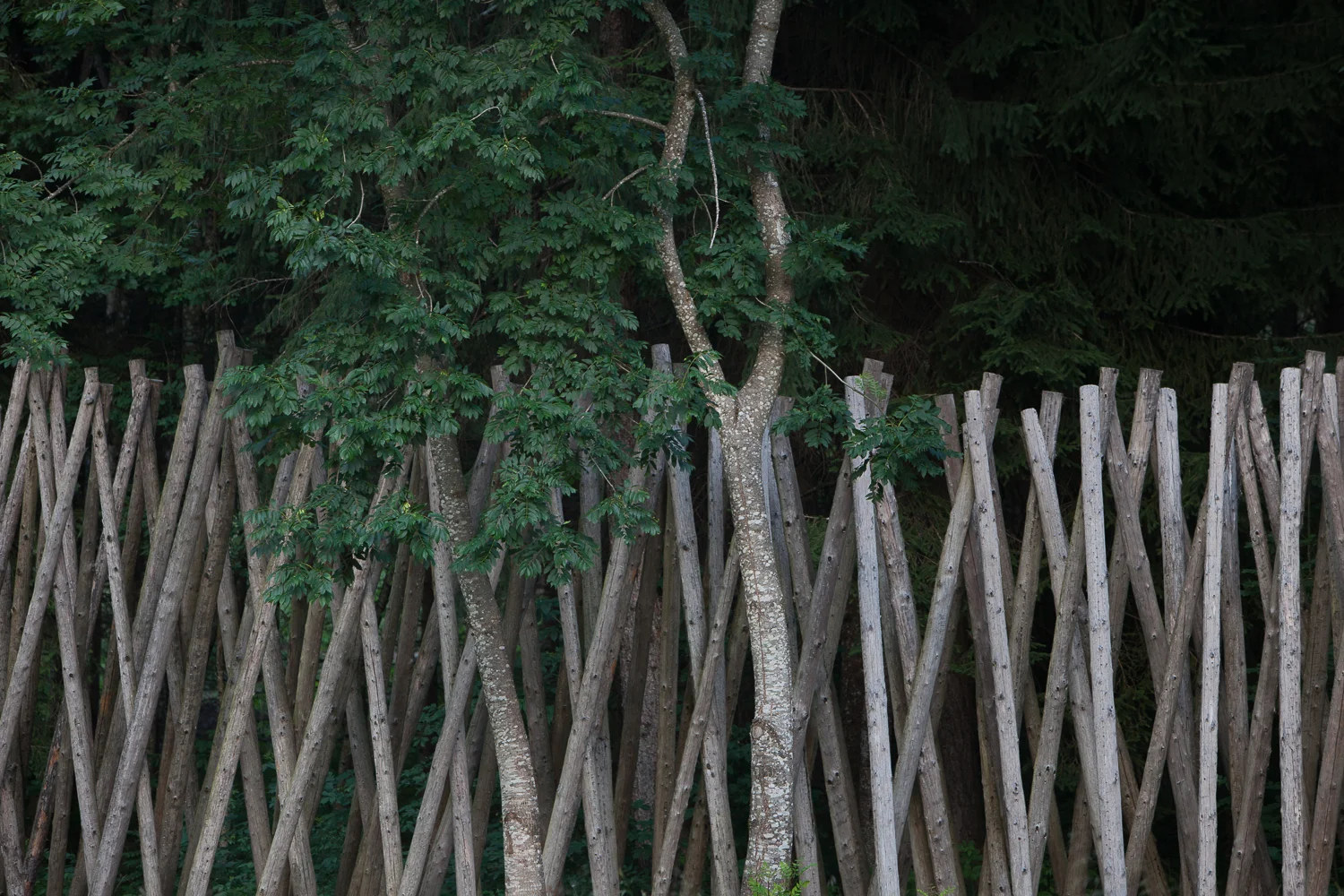 0007-6092.jpg