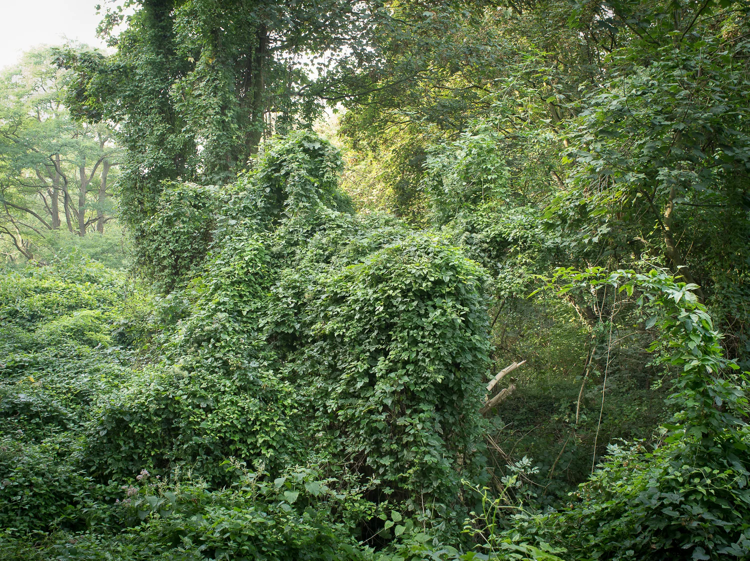0006-0706.jpg