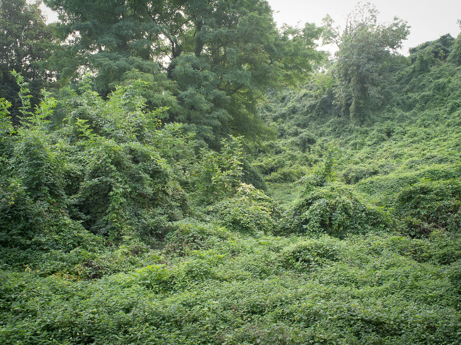 0007-0714.jpg