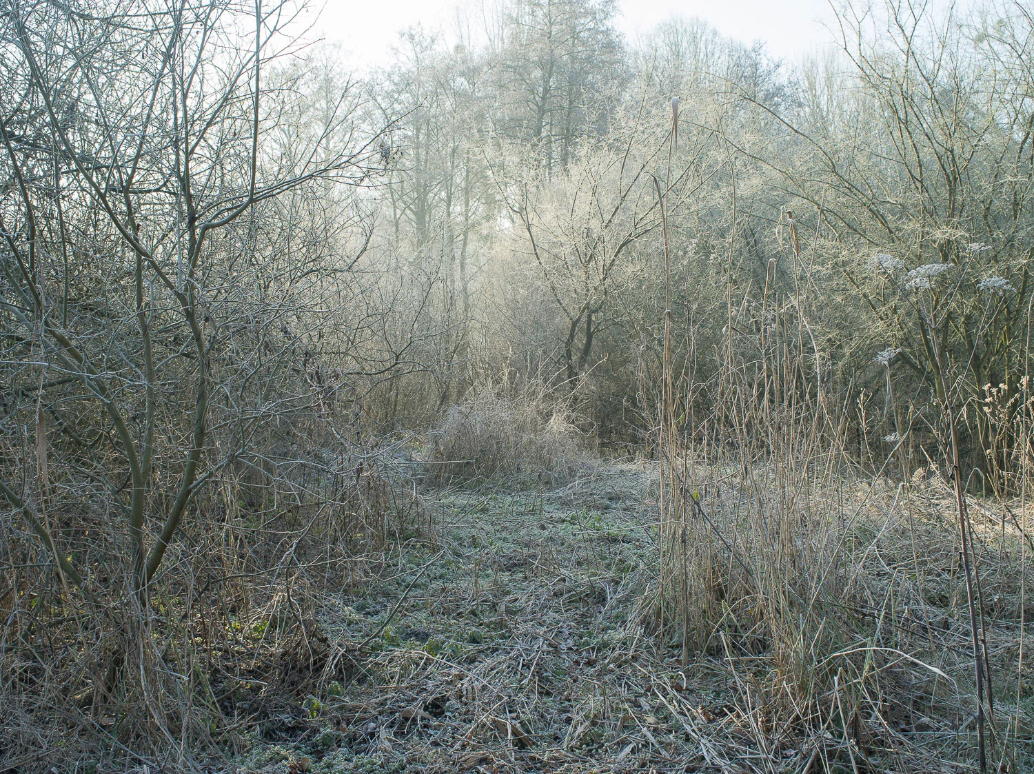 image_ma_parcelle.jpg