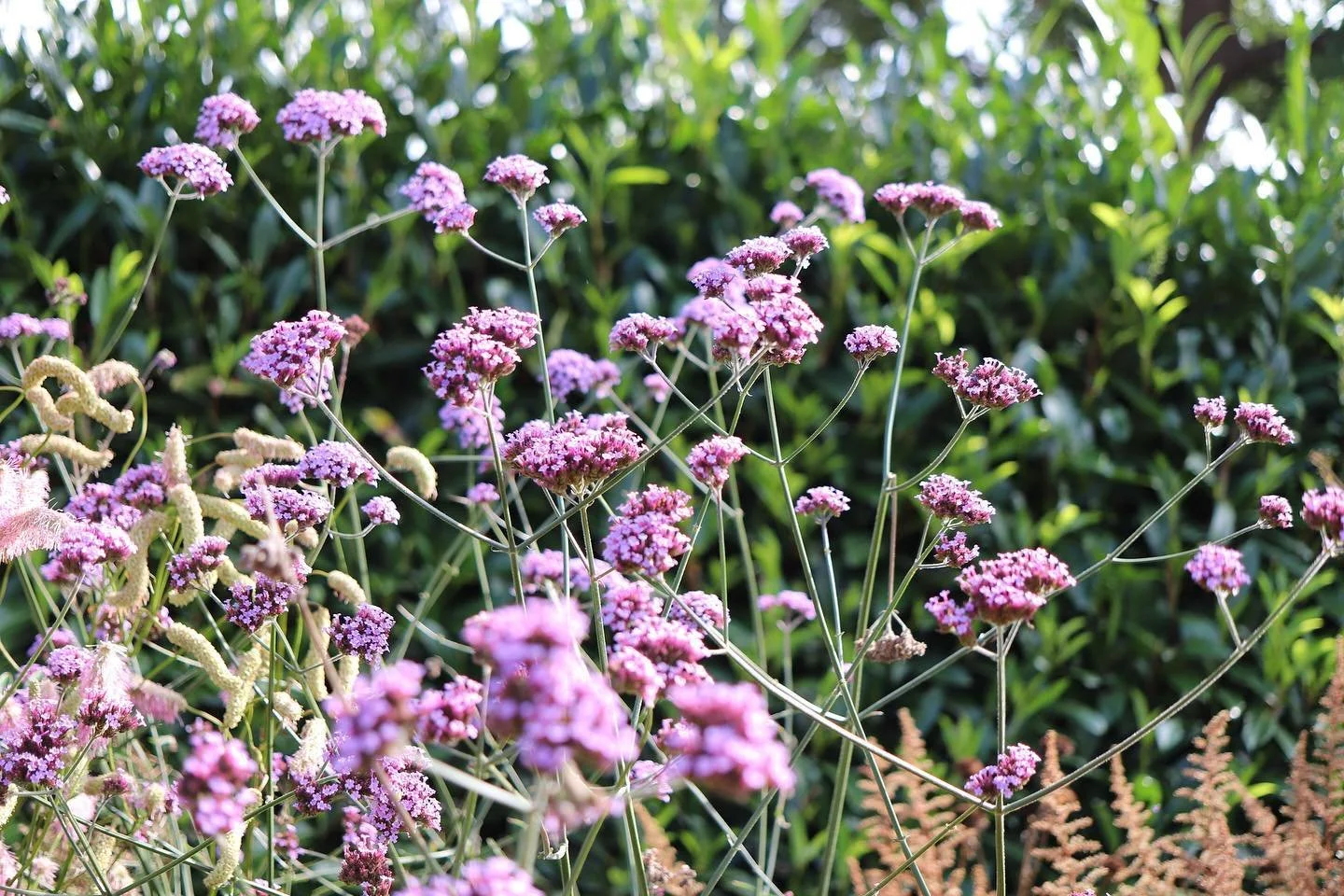 Happy Valentine&rsquo;s Day! ❤️
Lunch with a view? Yes please&hellip;

We are open Monday to Sunday serving all day breakfast, cakes and coffee with a view! 
.
.
.
#wildflowercafe #localcafe #bestfoodireland #alldaybreakfast #gardencenter