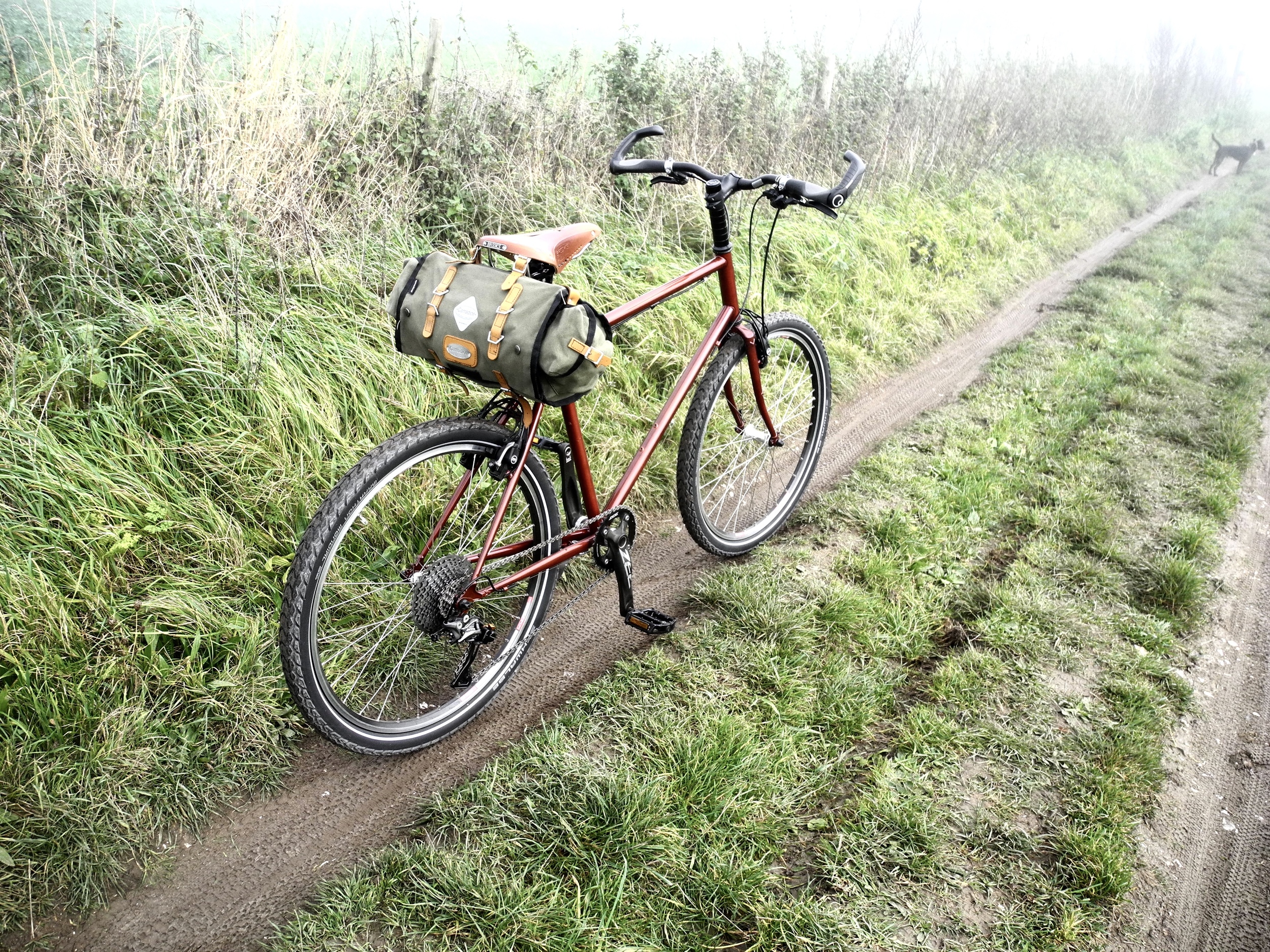DSCN3239.jpg
