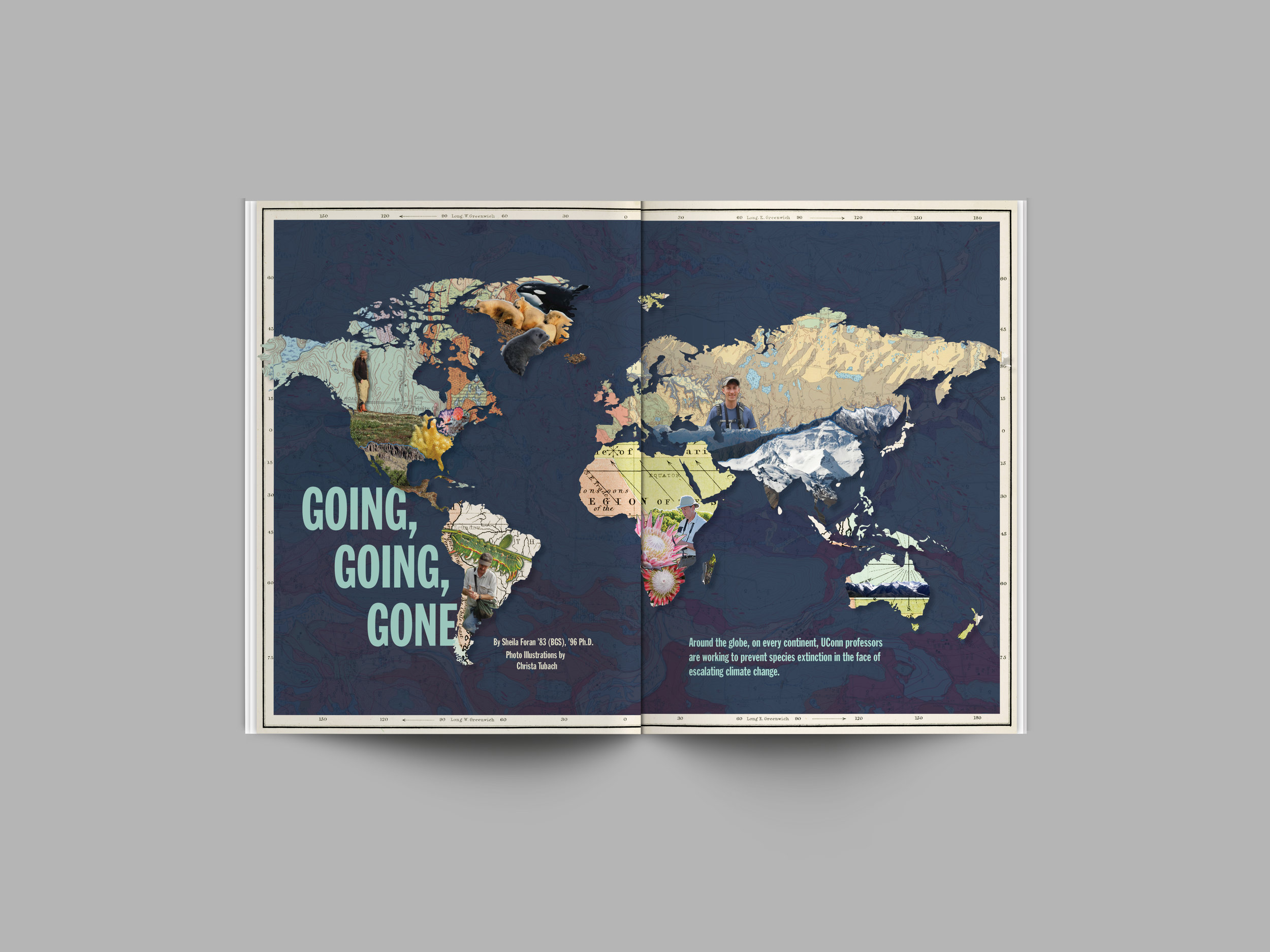 January 2016 – Going, Going, Gone.