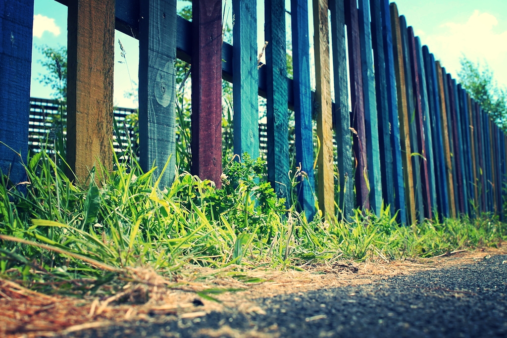 fence.JPG