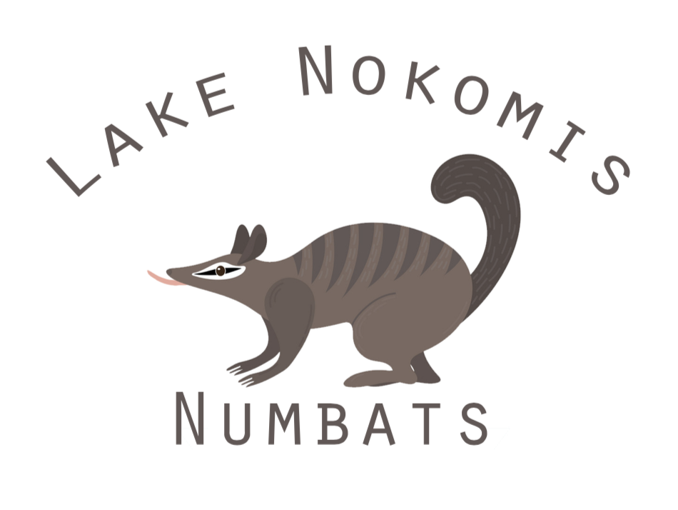 nokomis .png