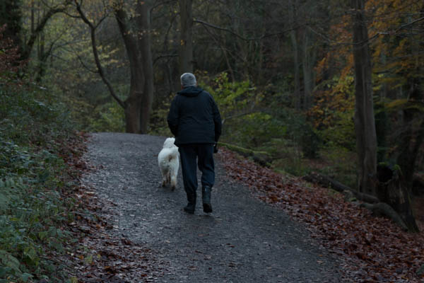 one man and his dog