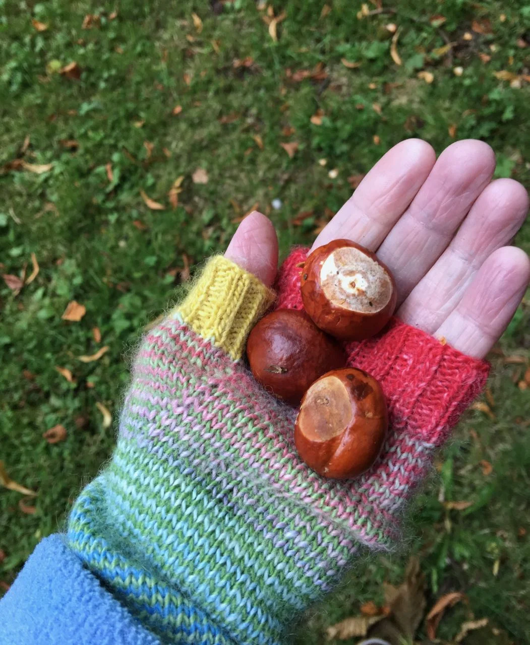 Treasures, memories of childhood - off to find more when the trees start to rain their fruit down