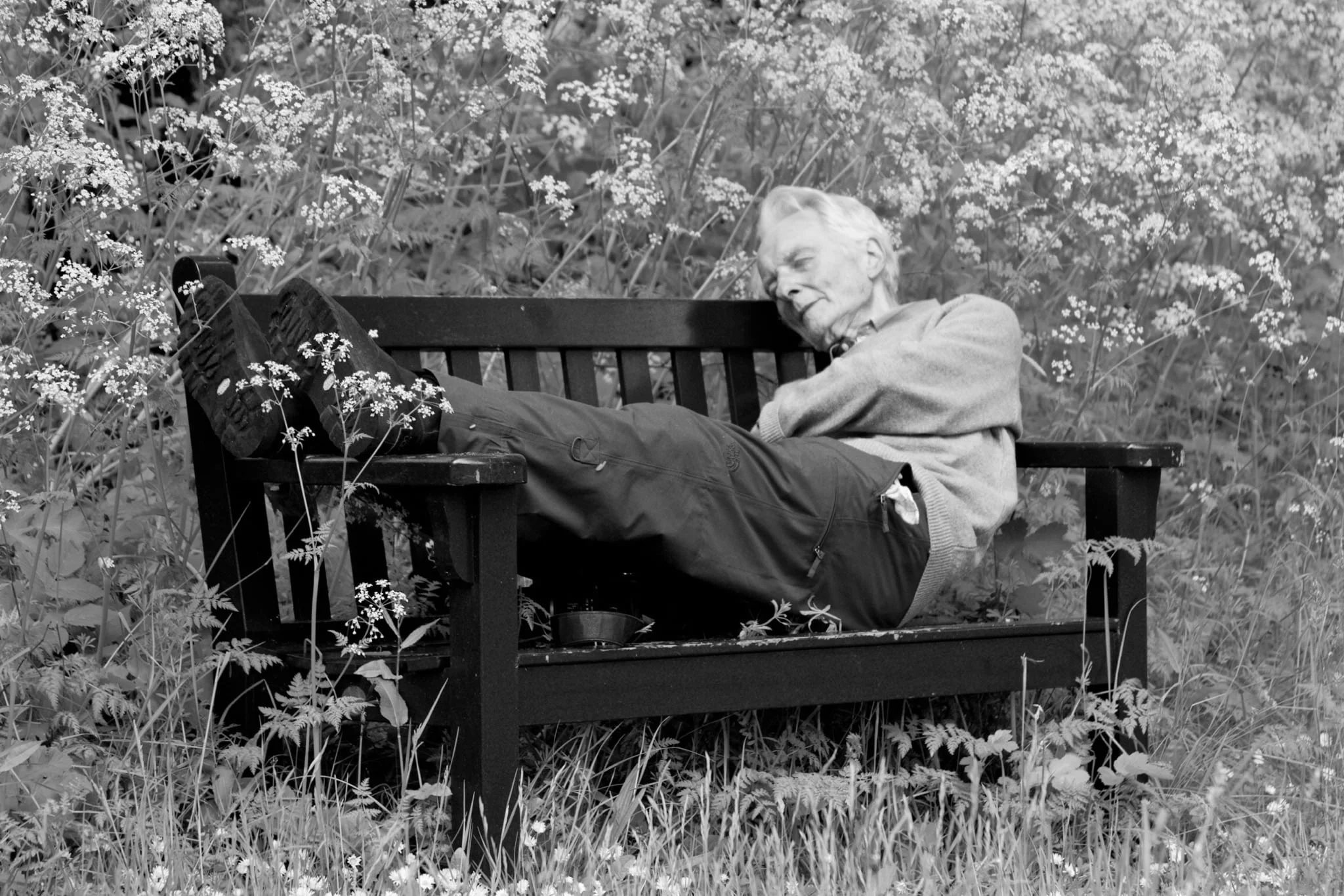 sleeping on the job...surrounded by the beauty of nature 