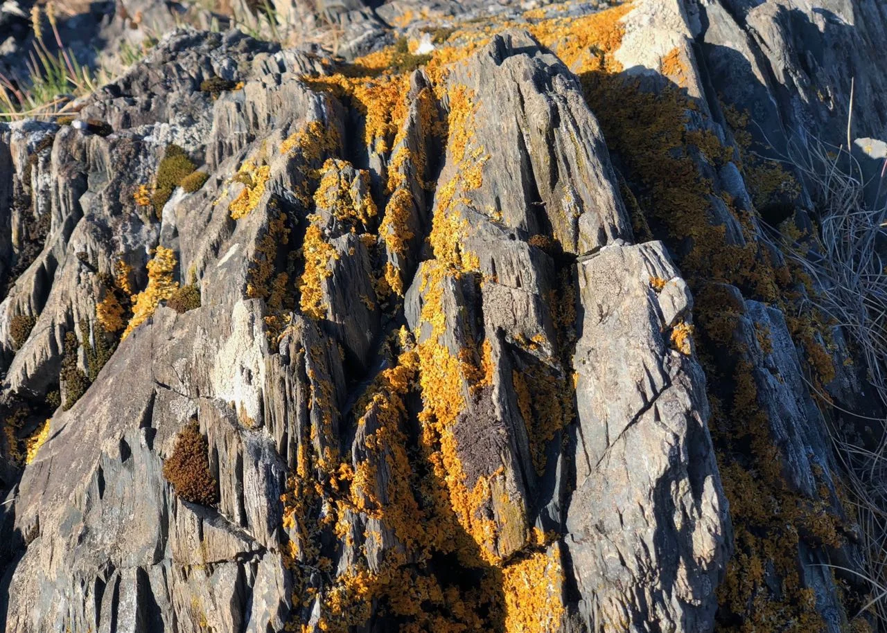 solid rock
