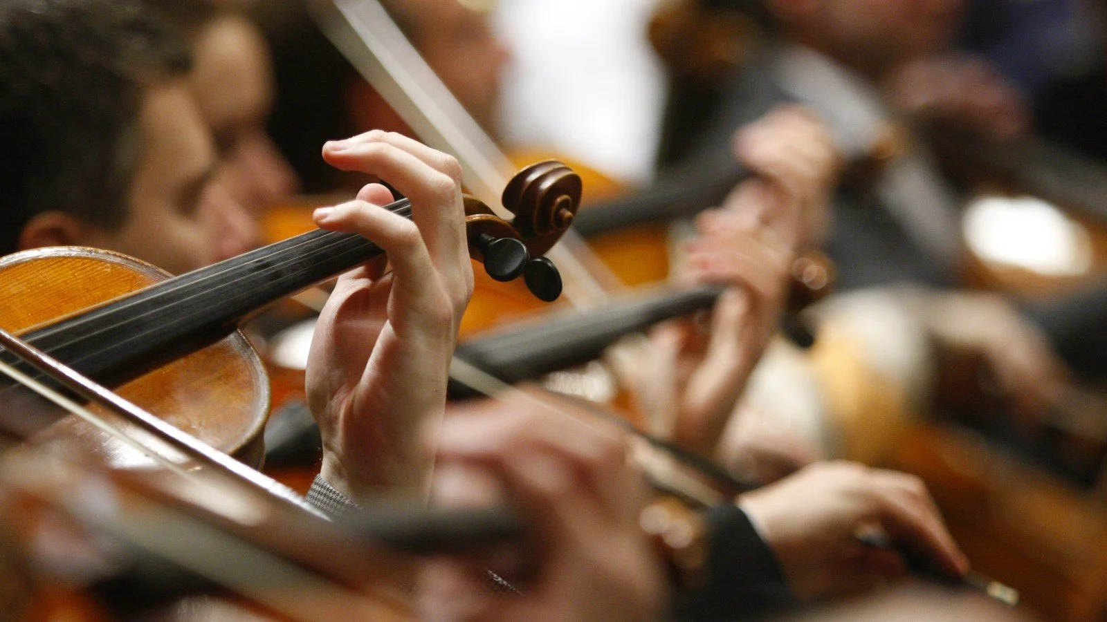 violin hands.jpg