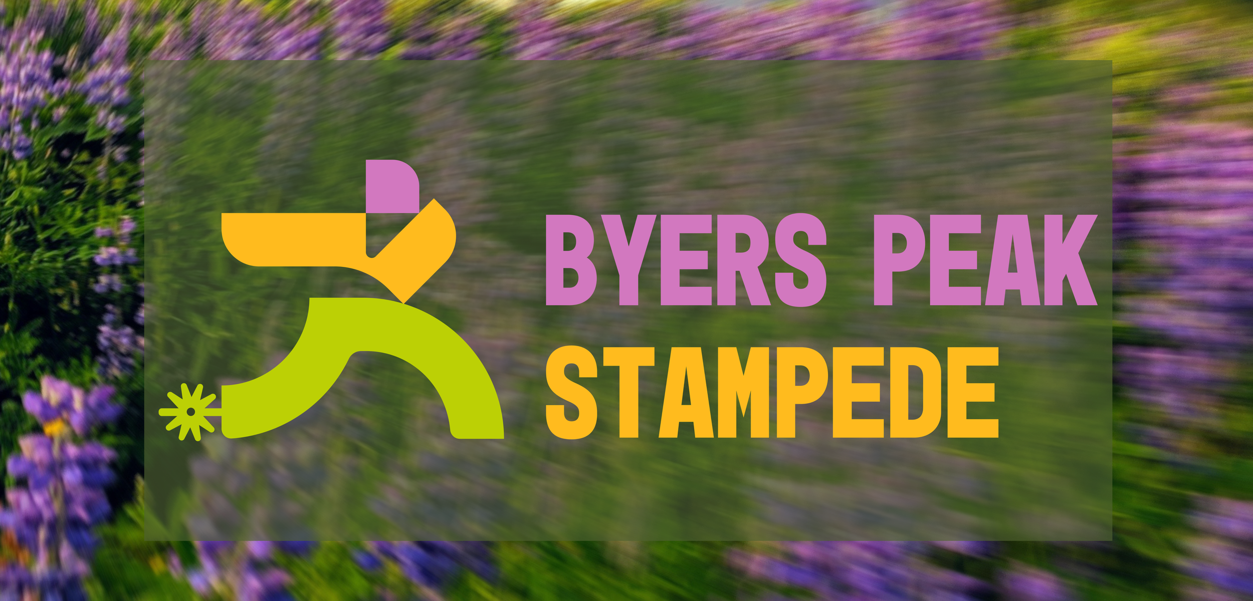 Untitled (75 x 36 in).png