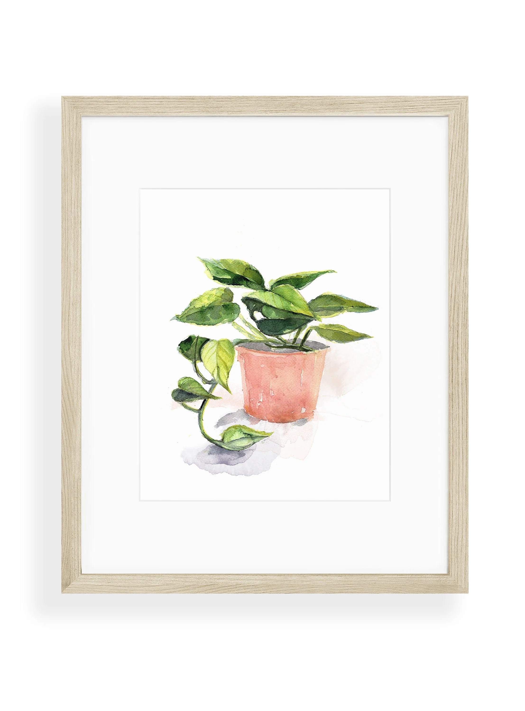 https://i.etsystatic.com/7242265/r/il/362fc1/3722293085/il_fullxfull.3722293085_bf7y.jpg