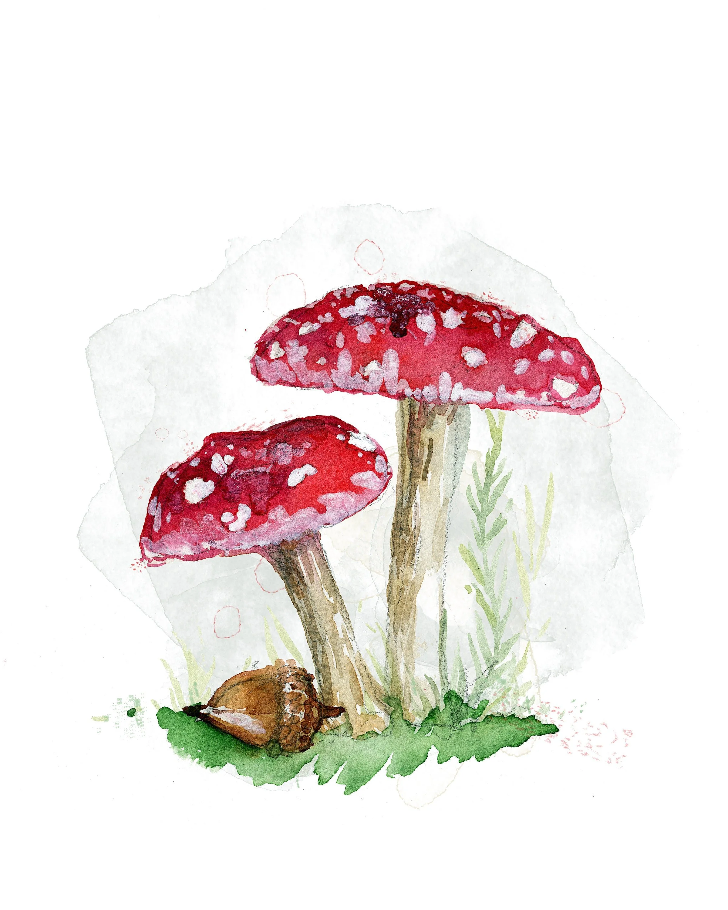 https://i.etsystatic.com/7242265/r/il/ade502/5398367229/il_fullxfull.5398367229_3xmj.jpg