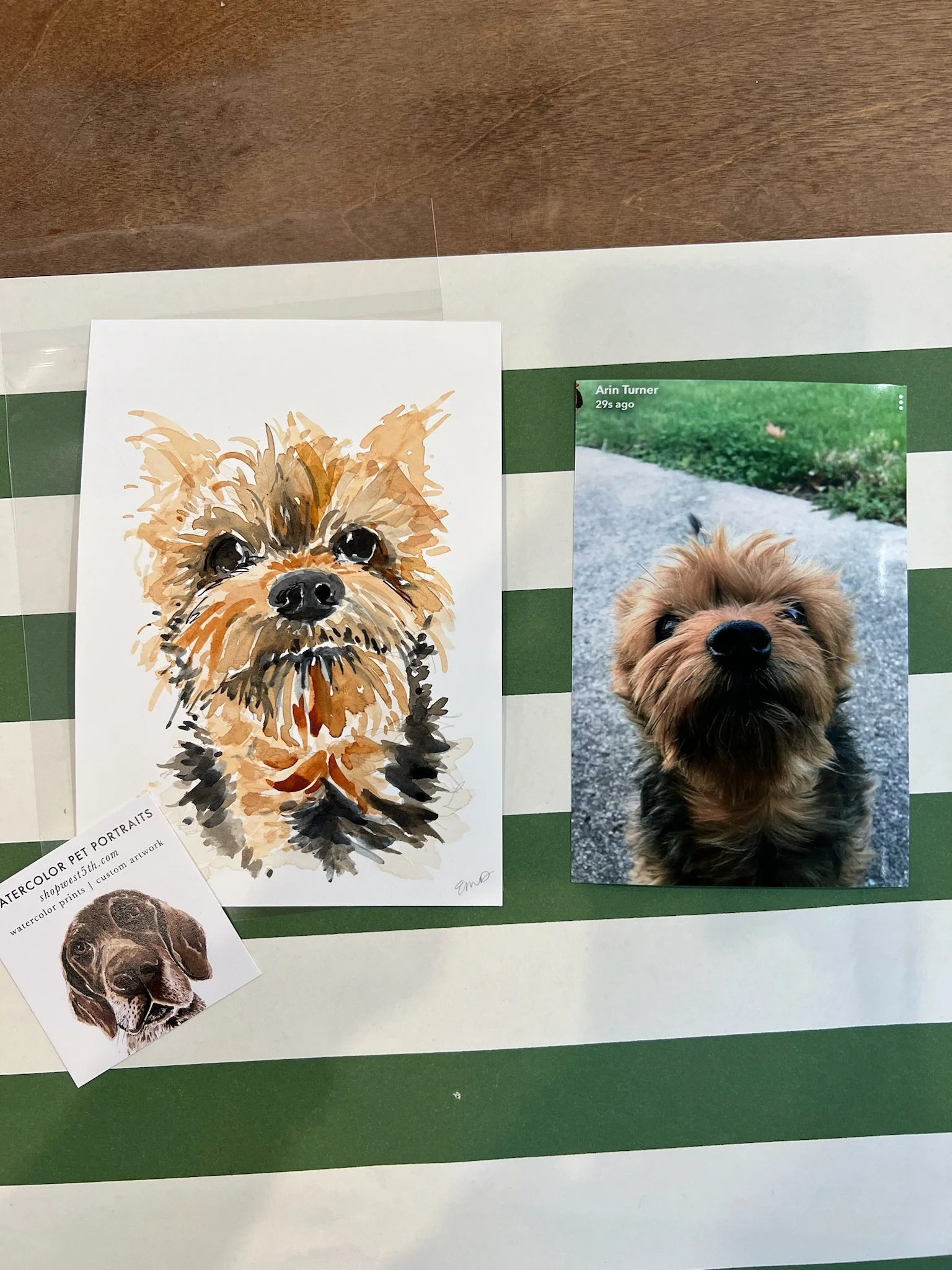 Mini Pet Portrait