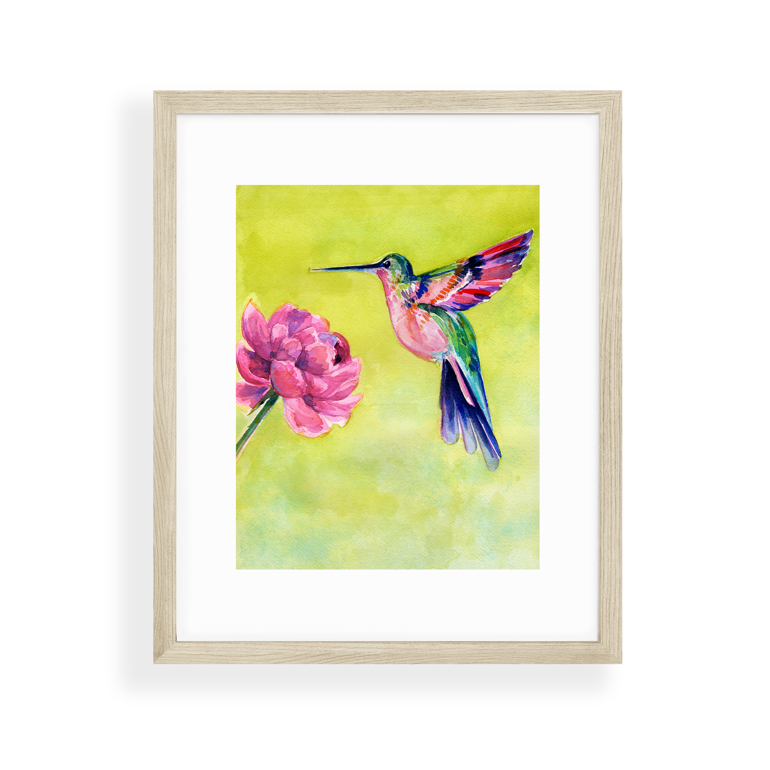hummingbird-2.png