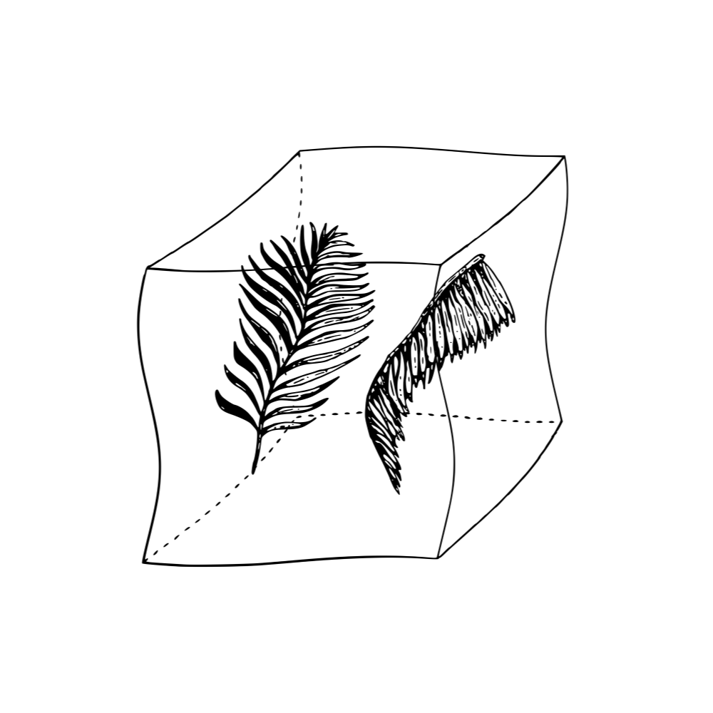 LGS003_WEB.png