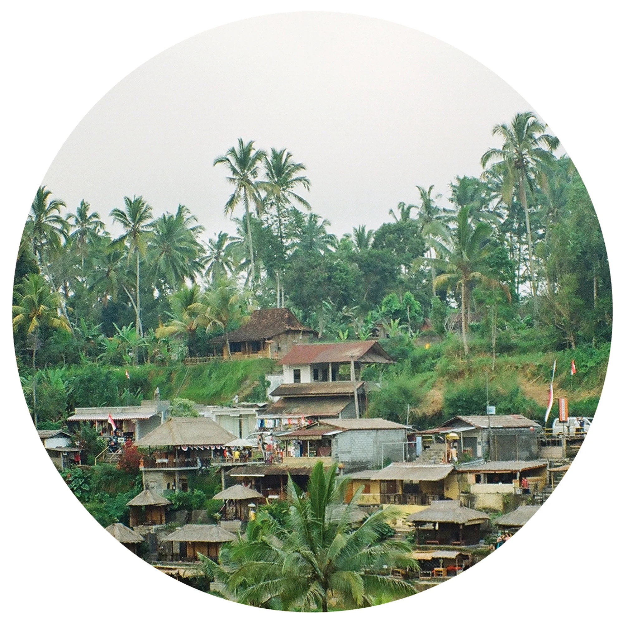 HAWAII013-A-SIDE_LABEL-WEB.jpg