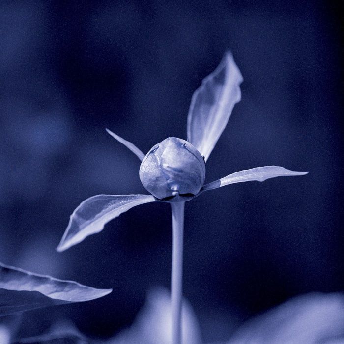 UNJIN - HUI GUI [KIZEN RECORDS]