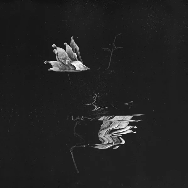 Safa ‎– The Subtleties Of Elevated Things [Modular Mind]