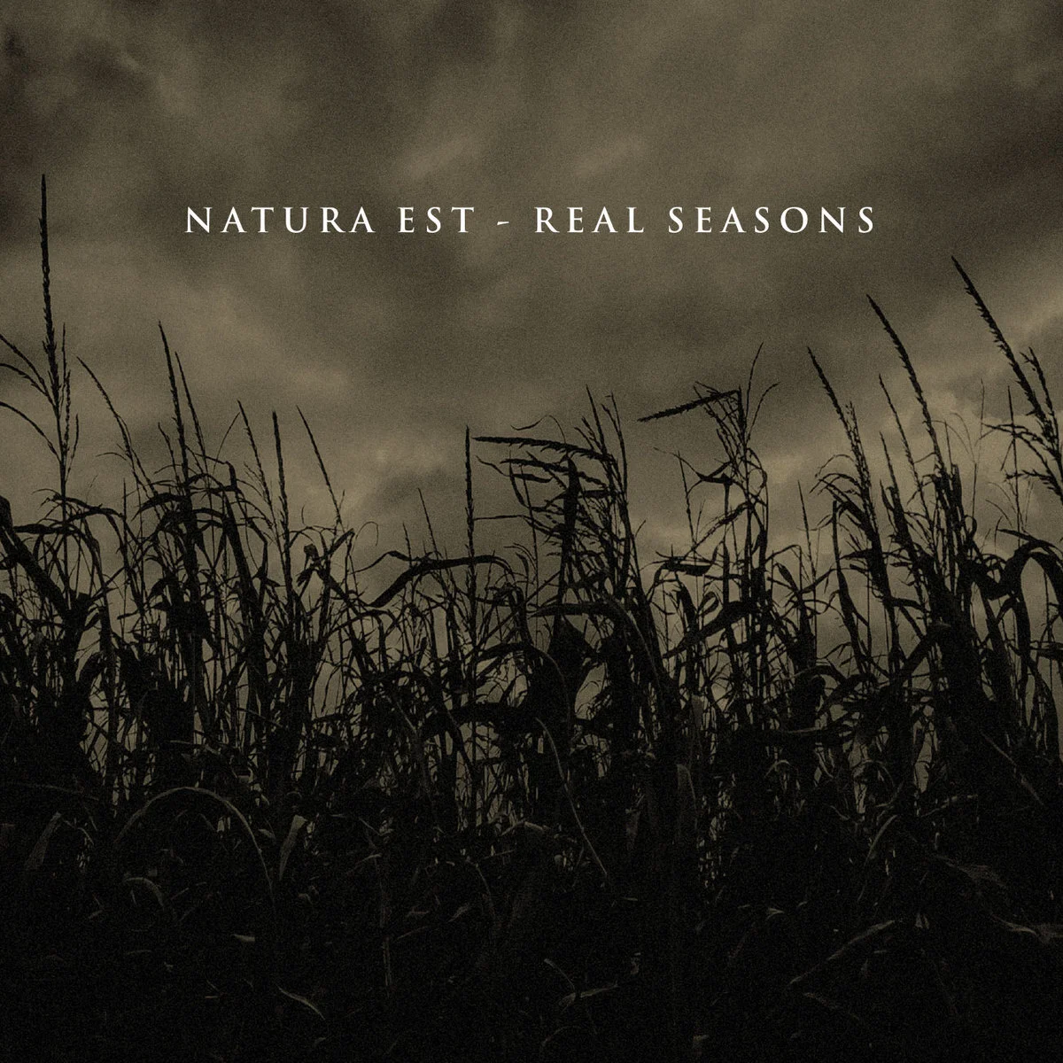 NATURA EST - REAL SEASONS [CYCLIC LAW] *CD