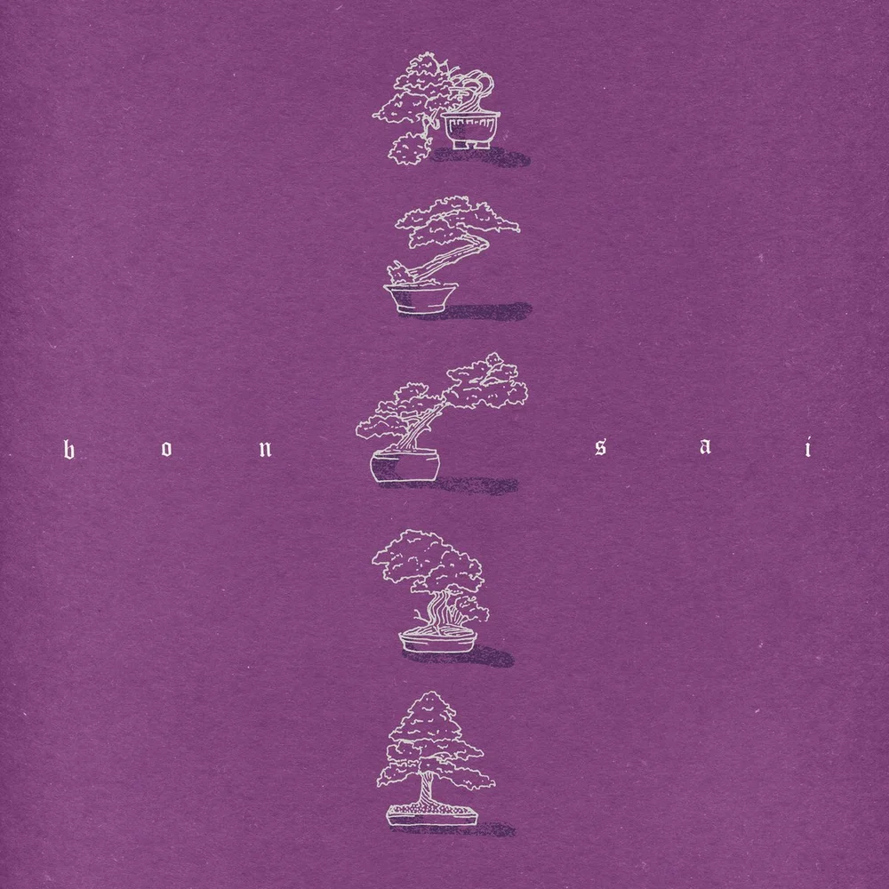 洋楽 SOOTHING BREEZE LOFI RECORDS Soothing Breeze - Various Artists [Lofi Records] — ZWART