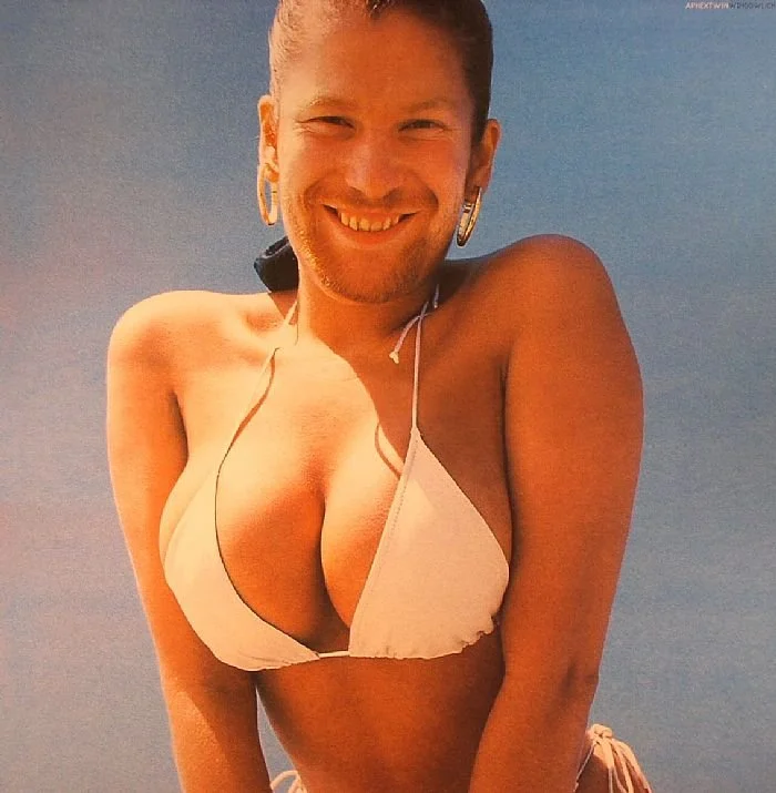 APHEX TWIN - WINDOWLICKER [WARP]
