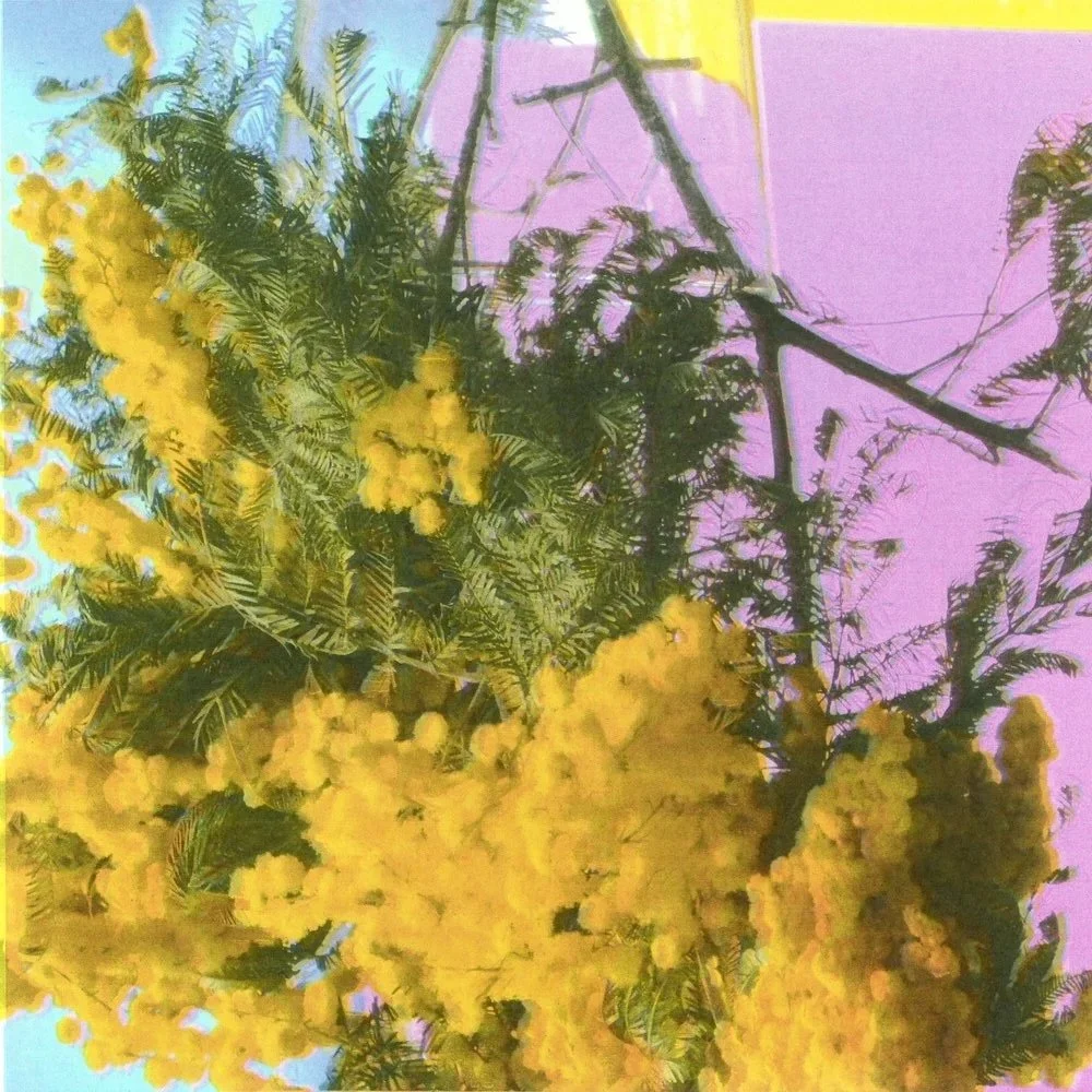 FOUR TET - INTO DUST [XL RECORDINGS]