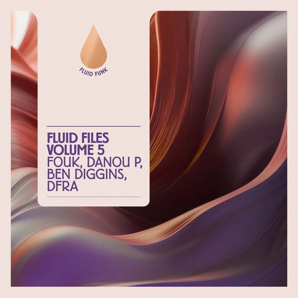 VARIOUS - FLUID FILES VOLUME 5 [FLUID FUNK]