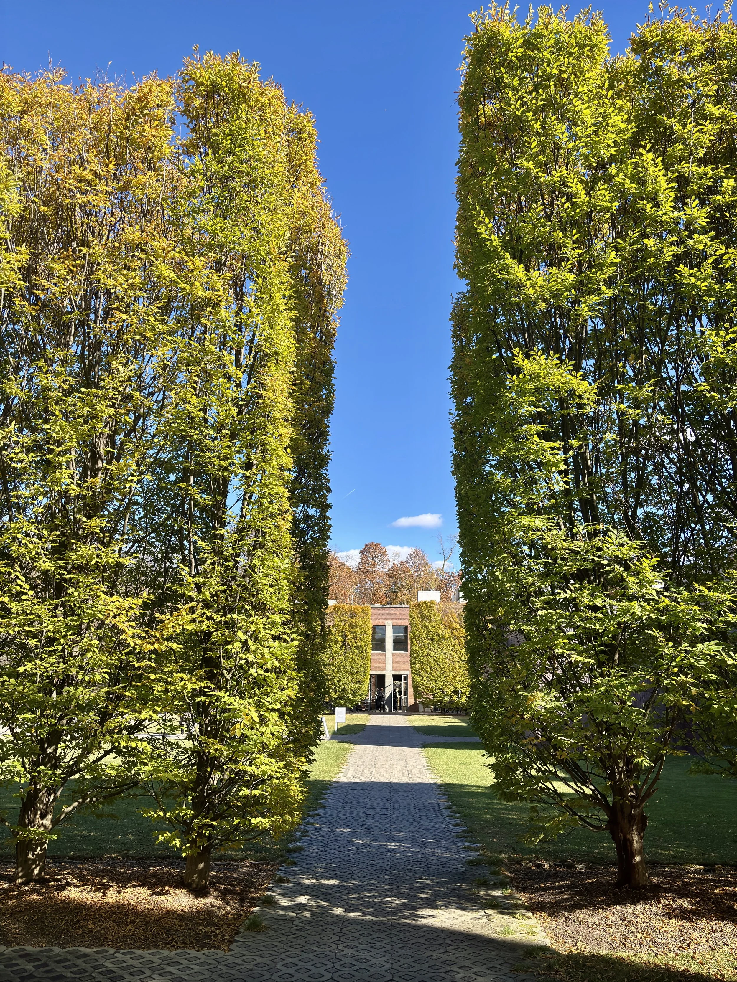 A Quiet Autumn Afternoon at Dia Beacon