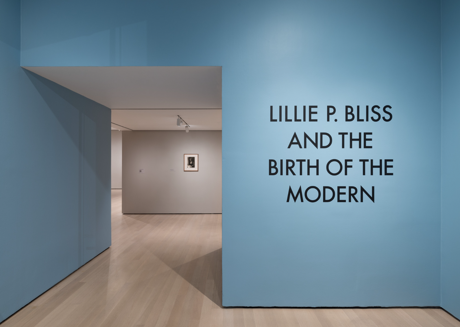 Lillie P. Bliss at MoMA: The Woman Behind Modern Art’s Rise