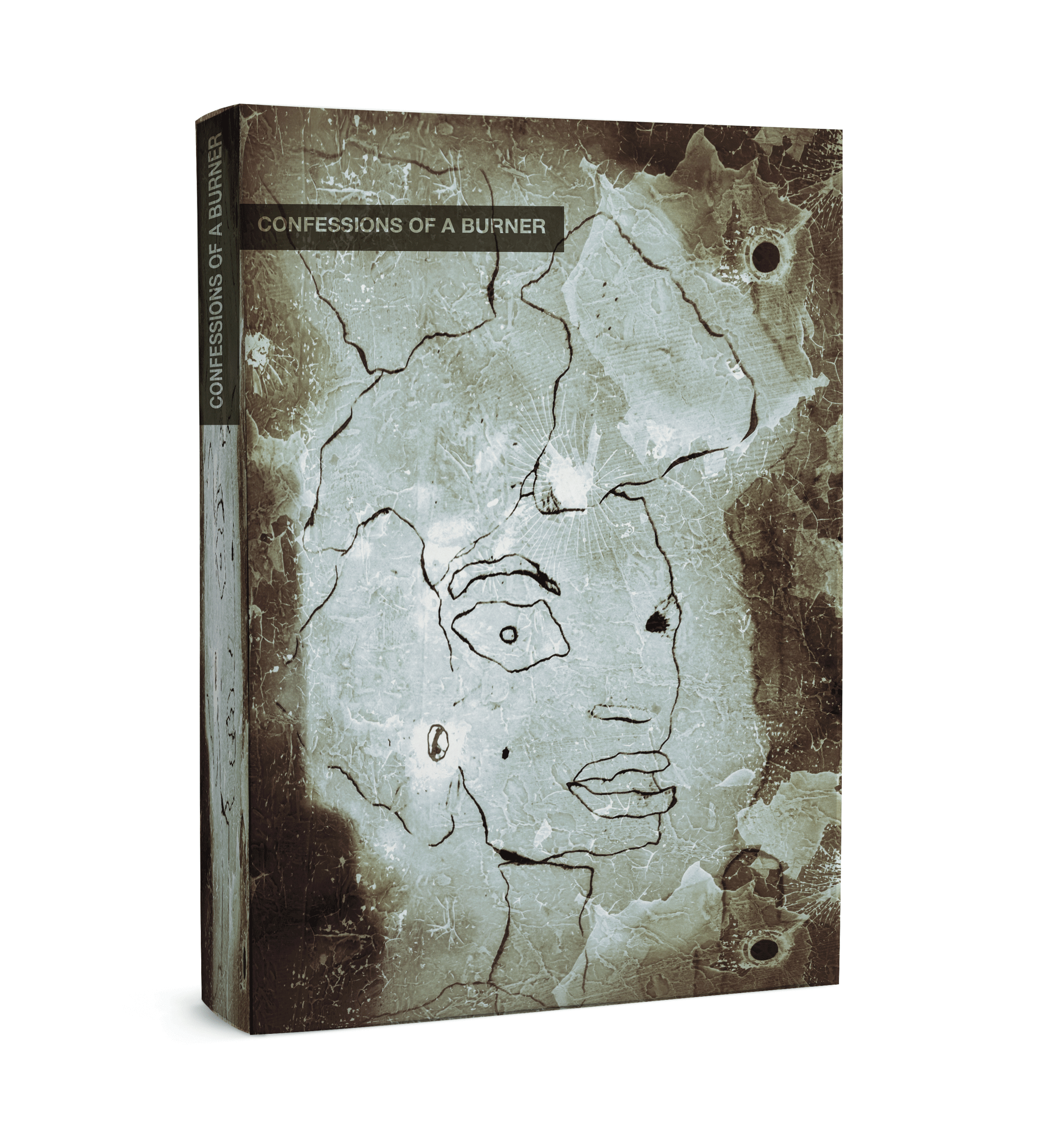 BURN_FACE_BookCover_web.gif