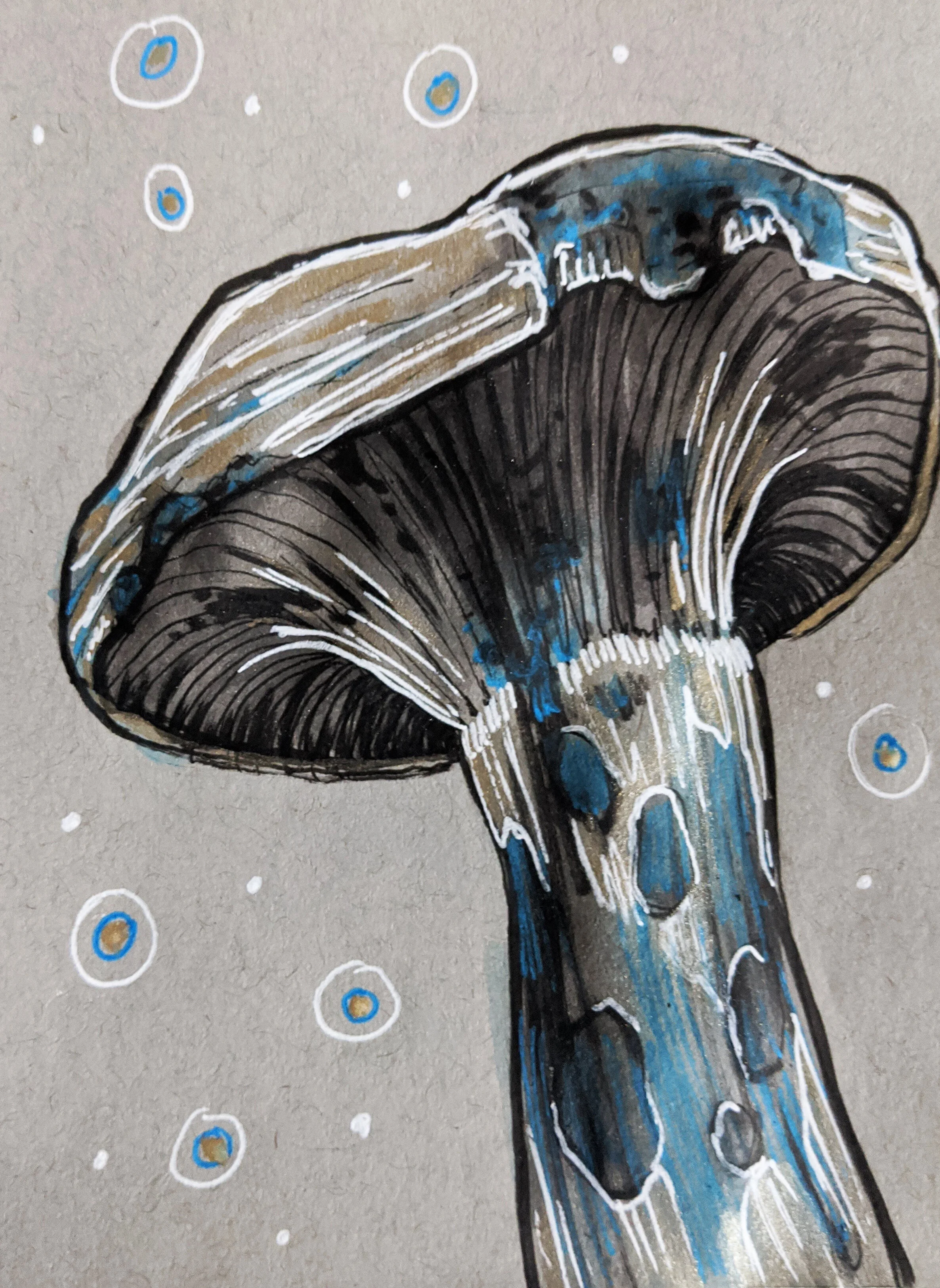 Injured - Indigo Milk Cap Mushroom (Copy)