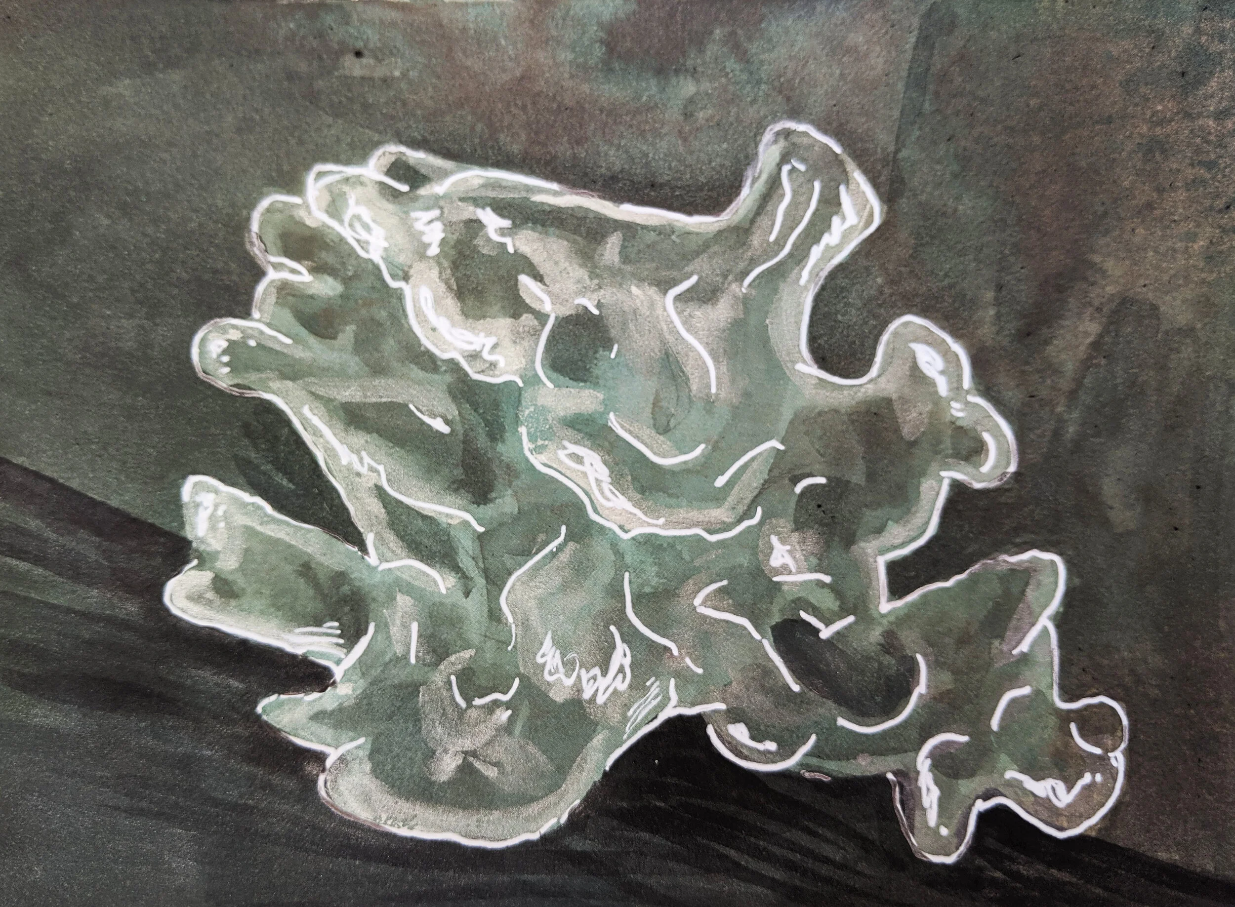 Snow: Tremella Fuciformis "Snow Mushroom" (Copy)