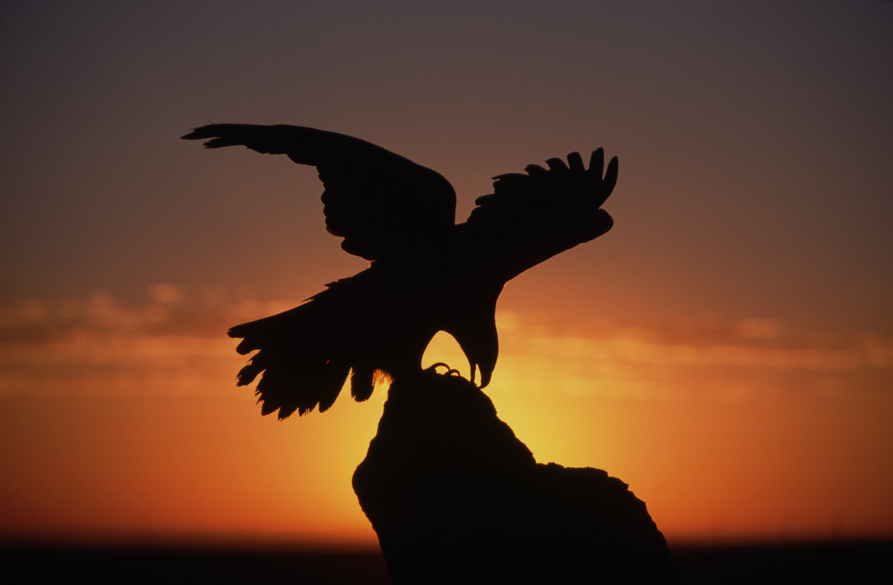 GoldenSunset98KB.jpg