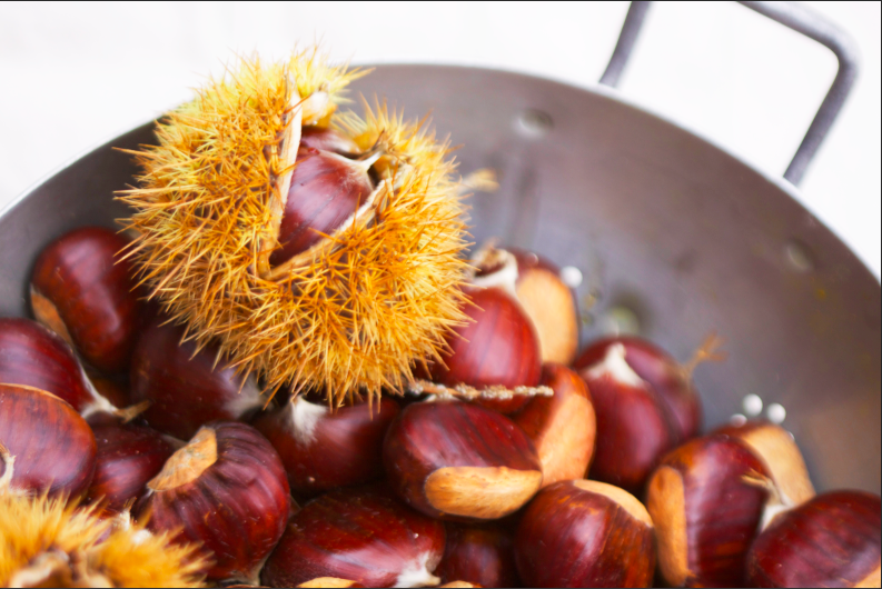 Chestnut pic.png
