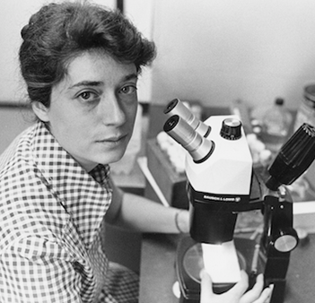 Anne Fausto-Sterling Photo by John Foraste. Brown University Archives