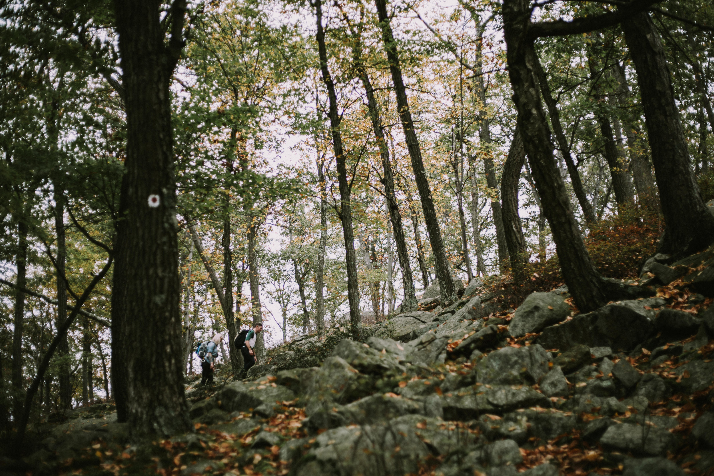 ADVENTURE ENGAGEMENT SESSION